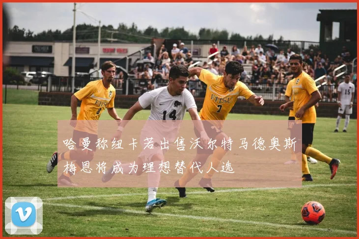 哈曼称纽卡若出售沃尔特马德奥斯梅恩将成为理想替代人选