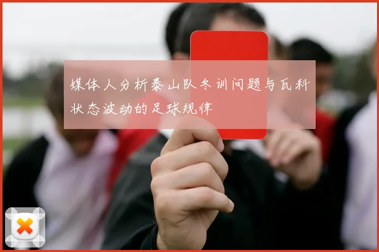 媒体人分析泰山队冬训问题与瓦科状态波动的足球规律