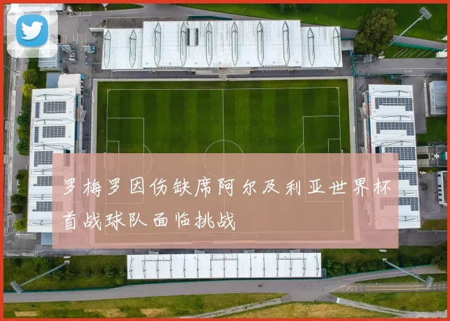 罗梅罗因伤缺席阿尔及利亚世界杯首战球队面临挑战